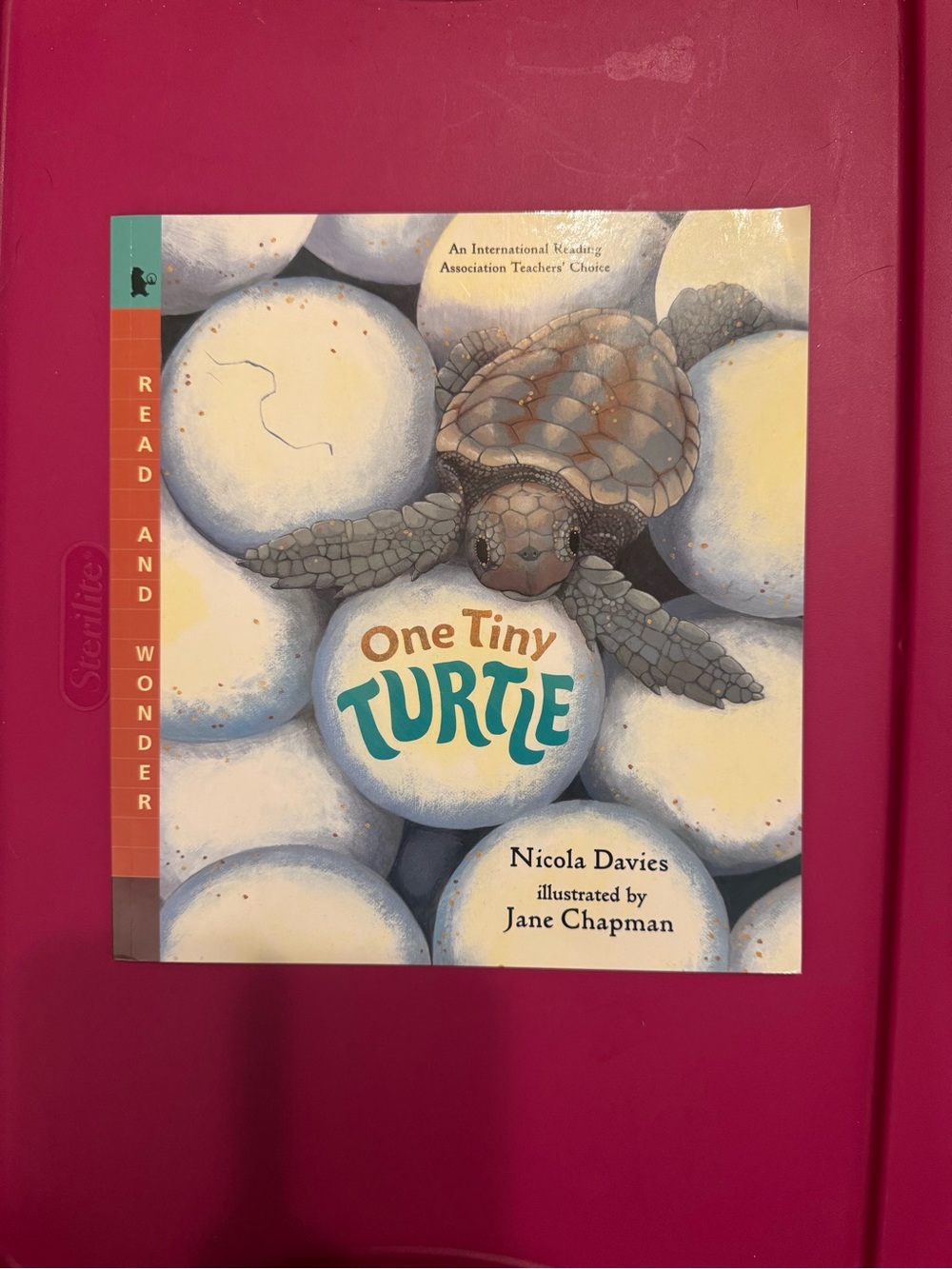 One Tiny Turtle - Pink Cover Children's Book